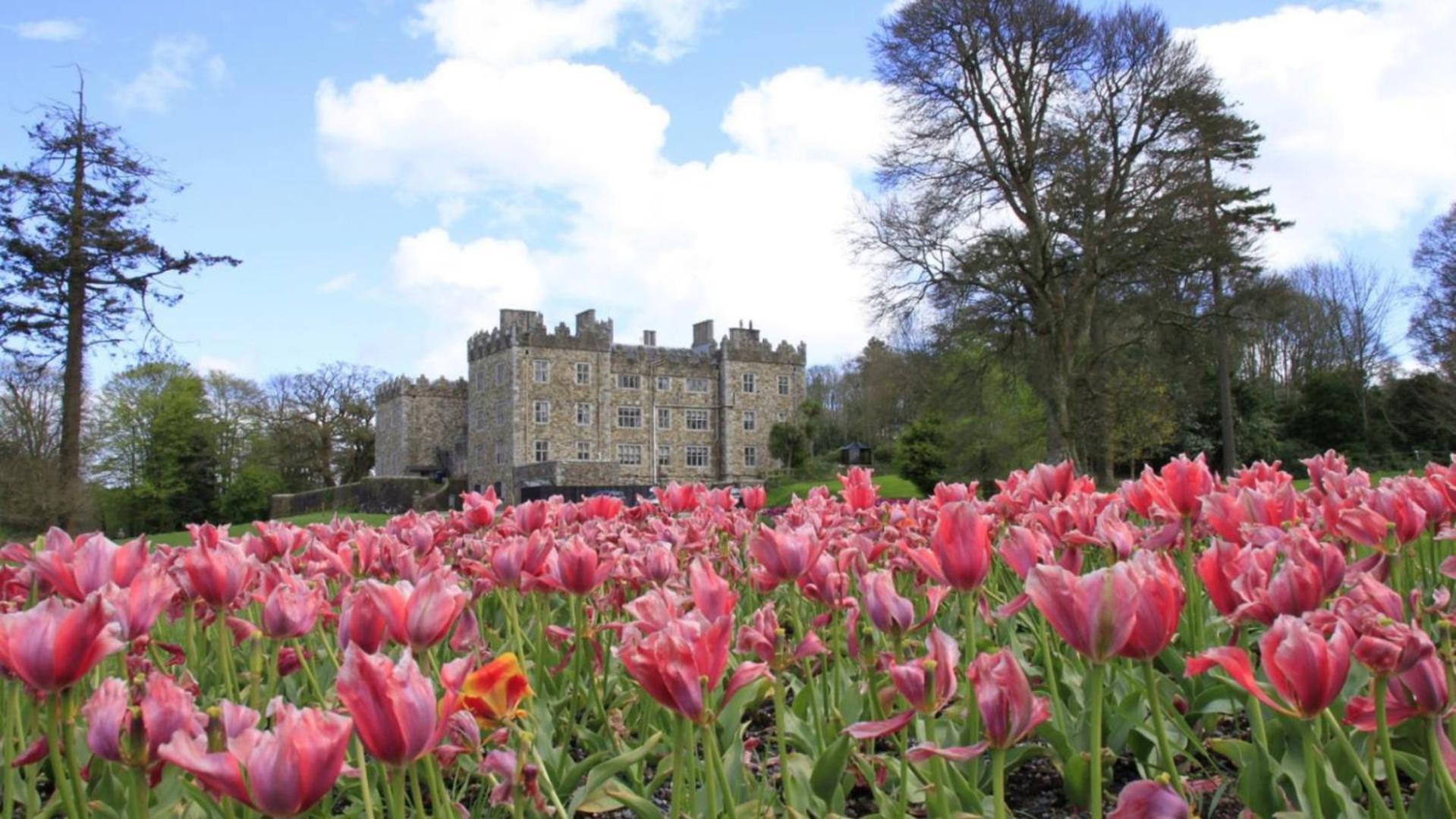 Waterford Castle Hotel Lodges Ngoại thất bức ảnh